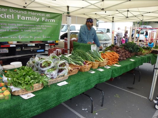 La Jolla Open Aire Farmers Market by null