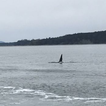 Outer Island Expeditions - Fishing Near Me - Eastsound, Washington