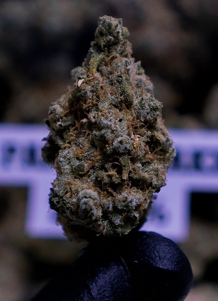 YUMA WAY 1136 YUMA DISPENSARY Updated September 2024 21 Photos & 28 Reviews 1136 Yuma Ct