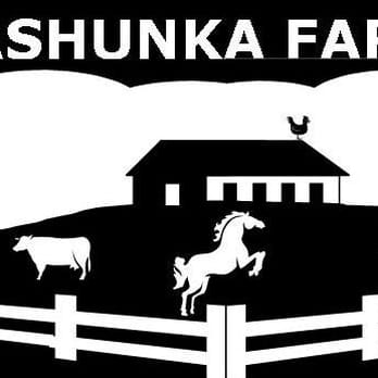 Tashunka - Horseback Riding Near Me - Redmond, Washington