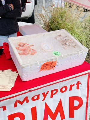 Maitland Farmer's Market by null