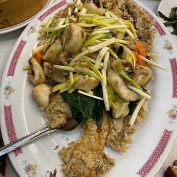 Ocean Harbor - Steam Pond Fish - Dim Sum Near Me - Philadelphia, Pennsylvania Ocean Harbor - Steam Pond Fish - Dim Sum Near Me - Philadelphia, Pennsylvania
