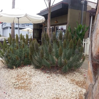 Cafe Topes - Coffee & Tea Near Me - Carlsbad, California Cafe Topes - Coffee & Tea Near Me - Carlsbad, California