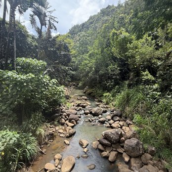 Toa Luau - On the way to the waterfalls - Cultural Center Near Me - Haleiwa, Hawaii