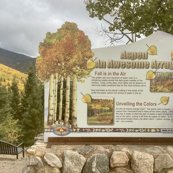 Aspen Vista Trail - Hiking Near Me Aspen Vista Trail - Hiking Near Me
