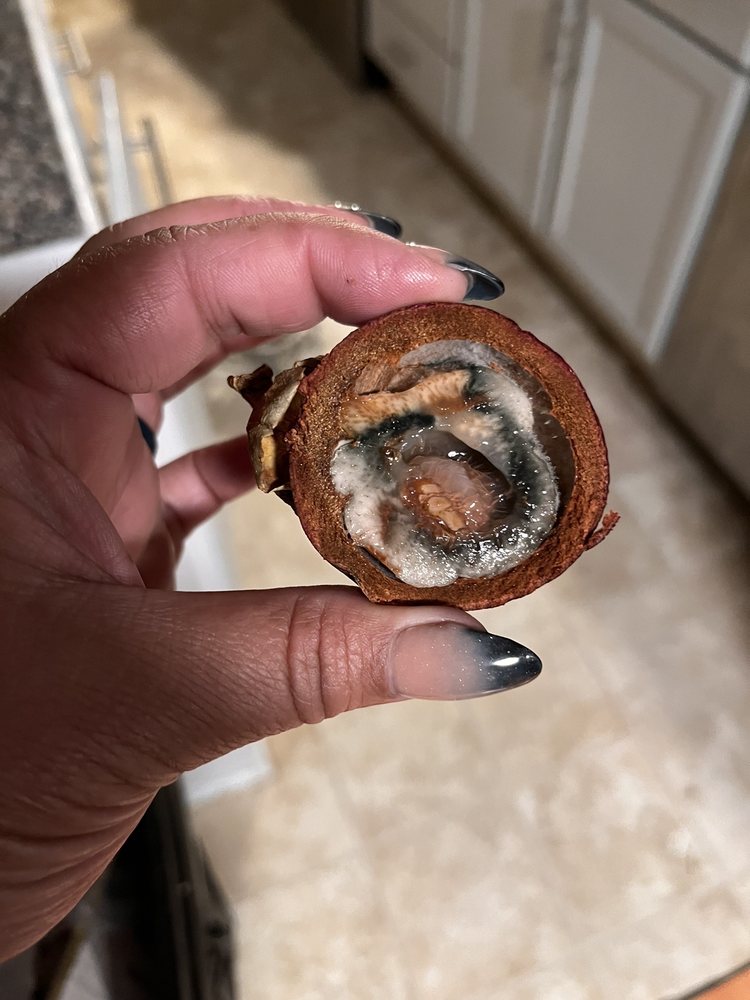 ASIAN MARKET INTERNATIONAL Updated September 2024 36 Photos & 16 Reviews 4197 Kitsap Way