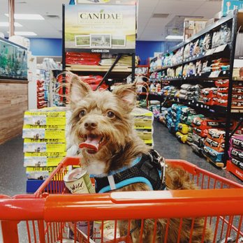 Paws and tails Pet Store - Micky, wearing his world famous smile - Pet Stores Near Me - Yuma, Arizona