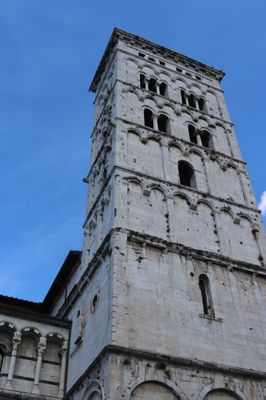 Chiesa di San Michele in Foro by null