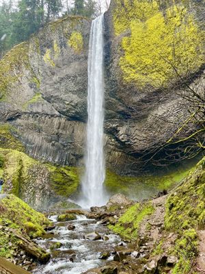 Latourell Falls by null