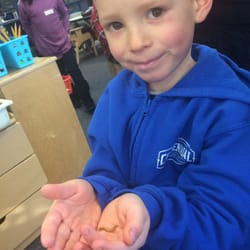 Centennial Elementary School - Kindergarteners raise meal worms during their year long Insect Expedition.