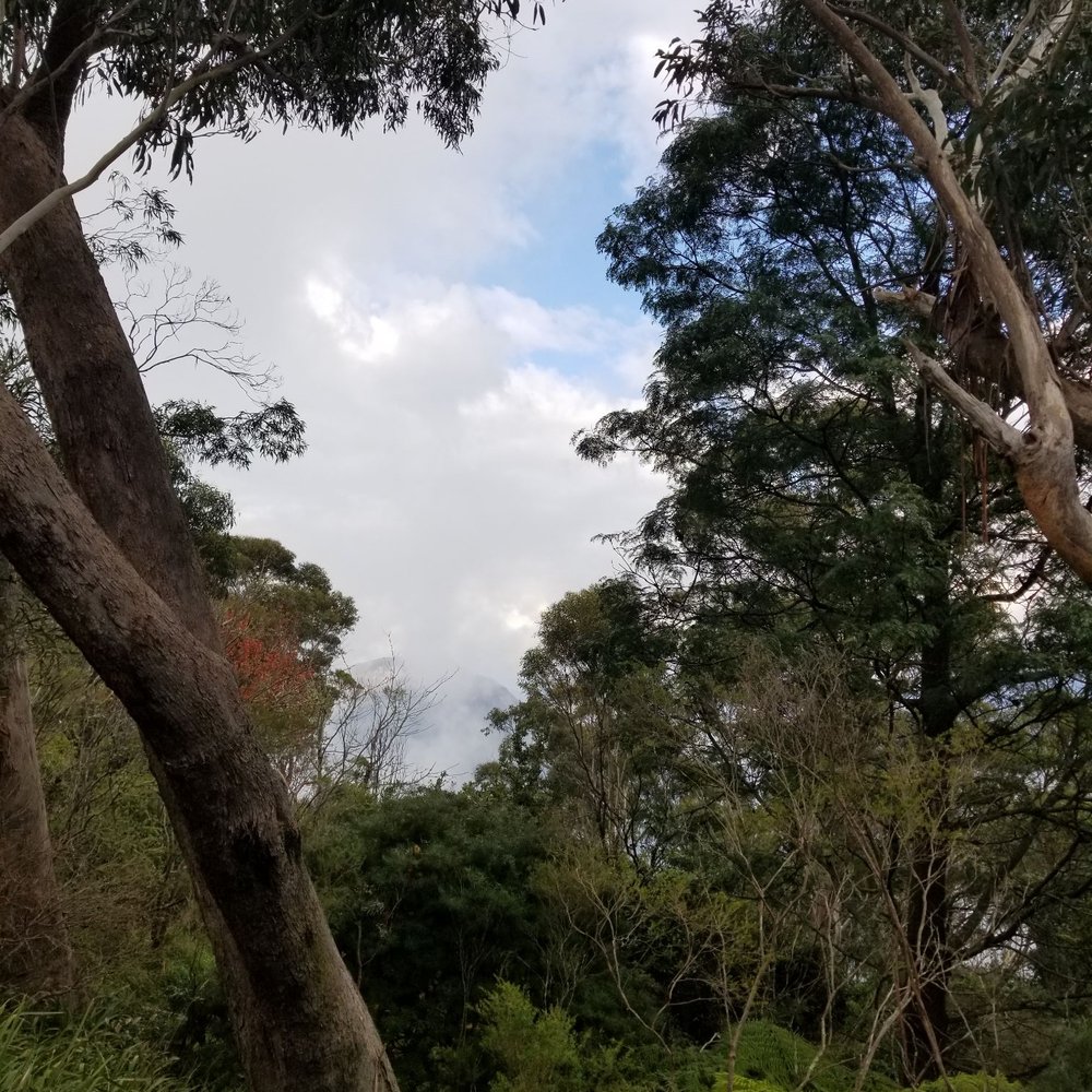 Blue Mountains National Park - Parks Near Me Blue Mountains National Park - Parks Near Me