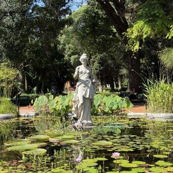 Jardín Botánico - Sculpture in the middle of a pond. - Botanical Gardens Near Me - Buenos Aires, C