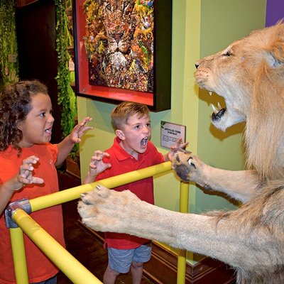 Ripley's Believe It or Not! by null