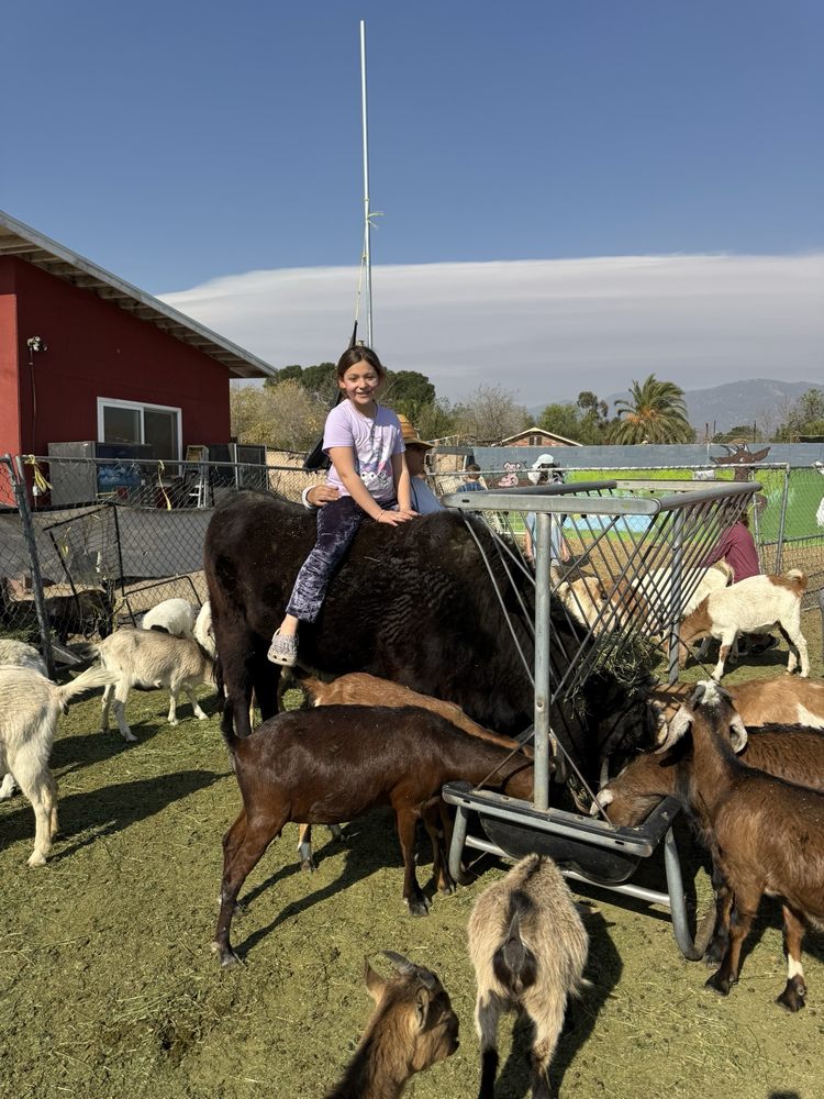 Social spots from Rancho Los Fonseca