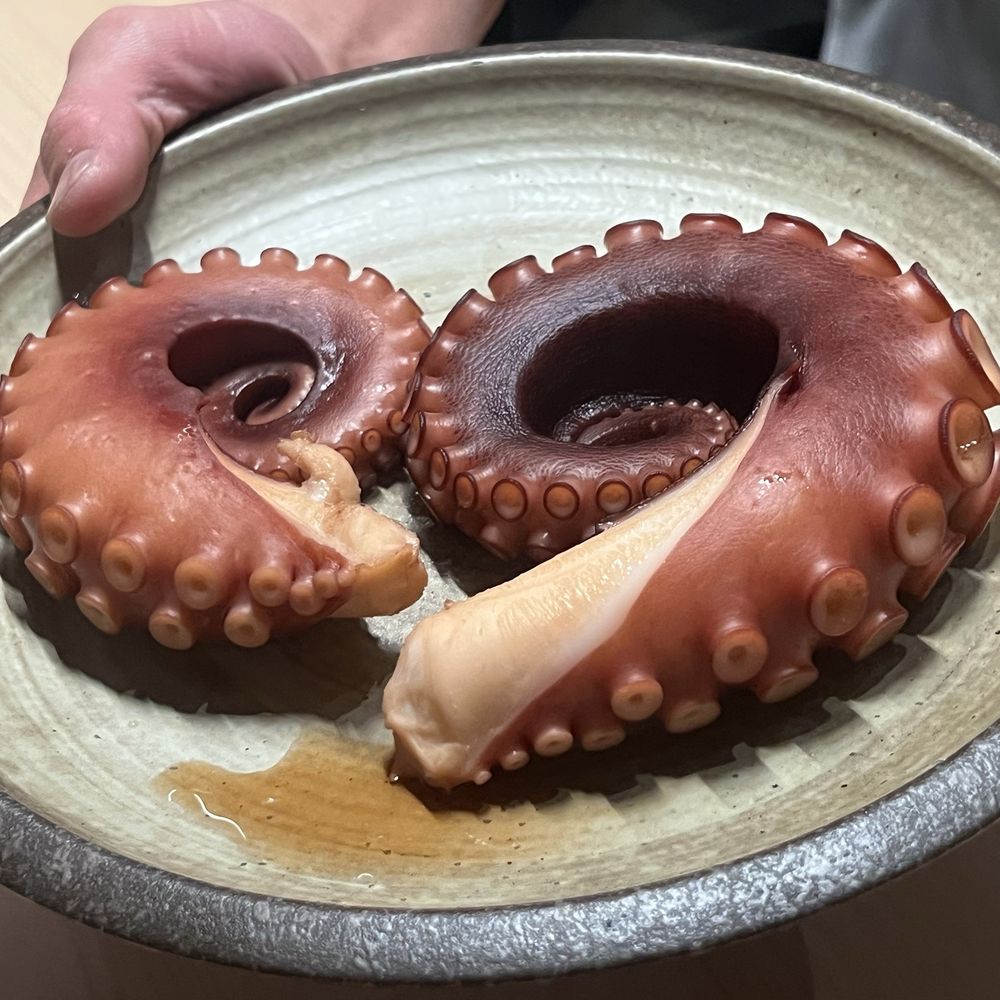 Octopus Octopus
