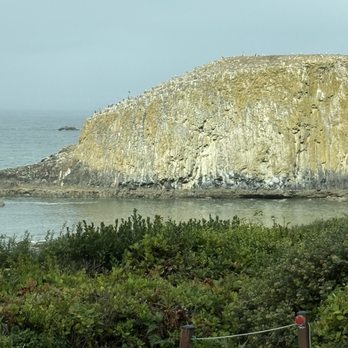 Seal Rocks RV Cove - RV Parks Near Me - Seal Rock, Oregon Seal Rocks RV Cove - RV Parks Near Me - Seal Rock, Oregon