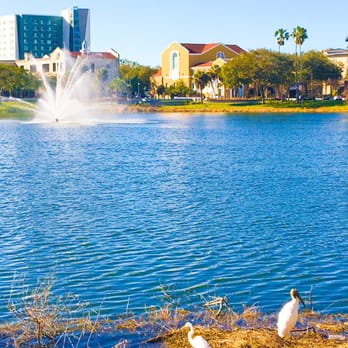 Mirror Lake Park - Parks Near Me - St. Petersburg, Florida Mirror Lake Park - Parks Near Me - St. Petersburg, Florida
