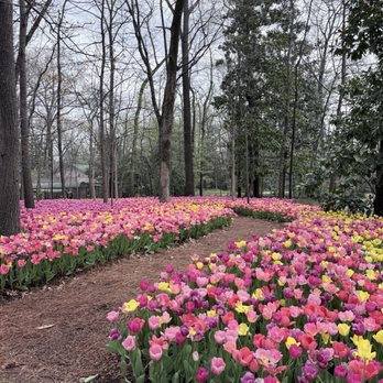 Dixon Gallery & Gardens - Museums Near Me - Memphis, Tennessee