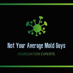 Not Your Average Mold Guys - Logo