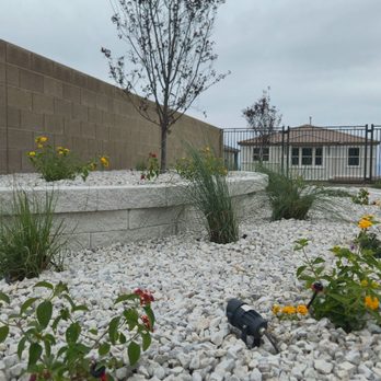 Peak Services - Artificial Turf Near Me - Las Vegas, Nevada
