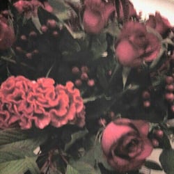 Flower Power - Mooi boeket voor mn schoonmoeder :-)