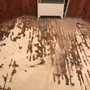Photo of Deluxe Wood Floors