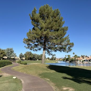 Ocotillo Golf Club - Golf Near Me - Chandler, Arizona Ocotillo Golf Club - Golf Near Me - Chandler, Arizona