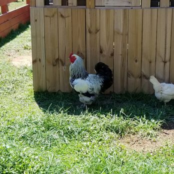 Nova Wild - Petting Zoos Near Me - Vienna, Virginia