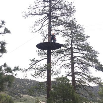 Ziplines at Pacific Crest - The "Trust" Free Fall - The Initial Fall - Ziplining Near Me - Wrightwood, California Ziplines at Pacific Crest - The "Trust" Free Fall - The Initial Fall - Ziplining Near Me - Wrightwood, California