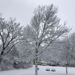 Centennial Park