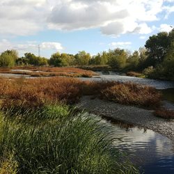 Desembocadura Río Gallego - Bonitos paisajes