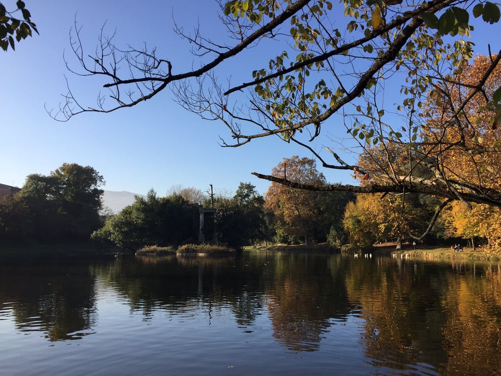 Giardini di Villa Puccini