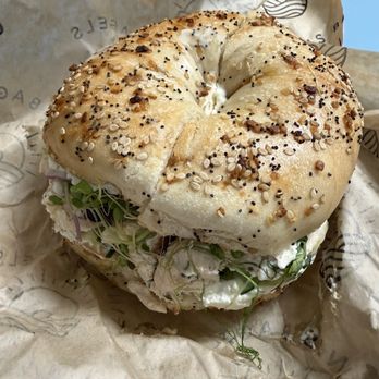 Fin's Bagels - Smoked fish on everything bagel - Bagels Near Me - Honolulu, Hawaii Fin's Bagels - Smoked fish on everything bagel - Bagels Near Me - Honolulu, Hawaii