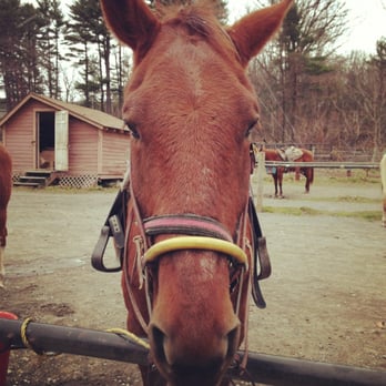 Mountain Creek Riding Stables - Horseback Riding Near Me - Cresco, Pennsylvania
