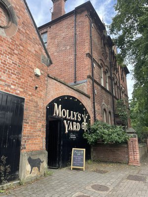 Molly's Yard by null