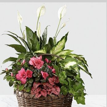 Flower Gallery - Ordered - Florists Near Me - Modesto, California