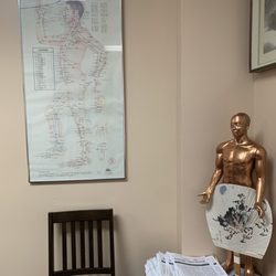 Antelope Valley Acupuncture &Herbs Clinic - Acupuncture models and diagrams