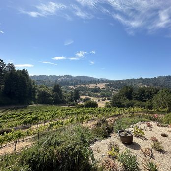 Ferrari Ranch Wines - View from winery - Wineries Near Me - Corralitos, California Ferrari Ranch Wines - View from winery - Wineries Near Me - Corralitos, California