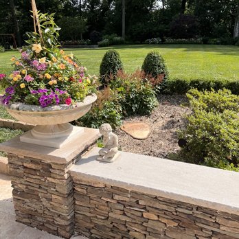 Lopez Tree Services - Tree cut flush. We elected not to remove the roots so they left it as low to the ground as possible. - Tree Services Near Me - Alexandria, Virginia
