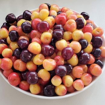 Root Orchards - Now that's a bowl of cherries! - Pick Your Own Farms Near Me - Mosier, Oregon