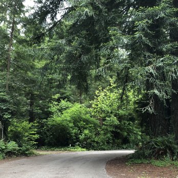 The Ramblin' Redwoods Campground - Campgrounds Near Me - Crescent City, California