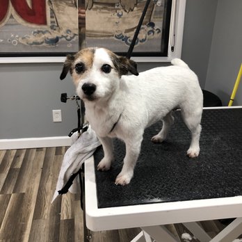 BROADWAY PAWS - Pet Groomers Near Me - Lebanon, Ohio