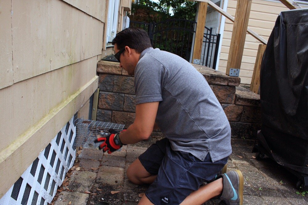 JAX WILDLIFE REMOVAL Updated October 2024 15 Photos Jacksonville, Florida Pest Control