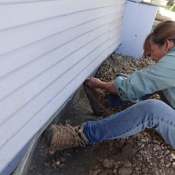 Humane Choice Wildlife Services - Attaching a wire apron to skunk proof a foundation - Pest Control Near Me Humane Choice Wildlife Services - Attaching a wire apron to skunk proof a foundation - Pest Control Near Me