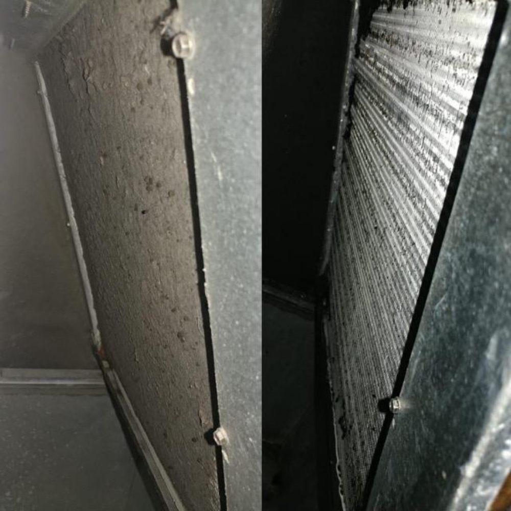 Slide of Wilcox Services