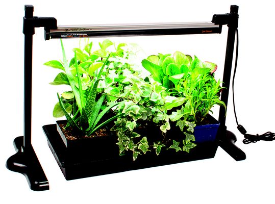 Harvest Moon Hydroponics by null