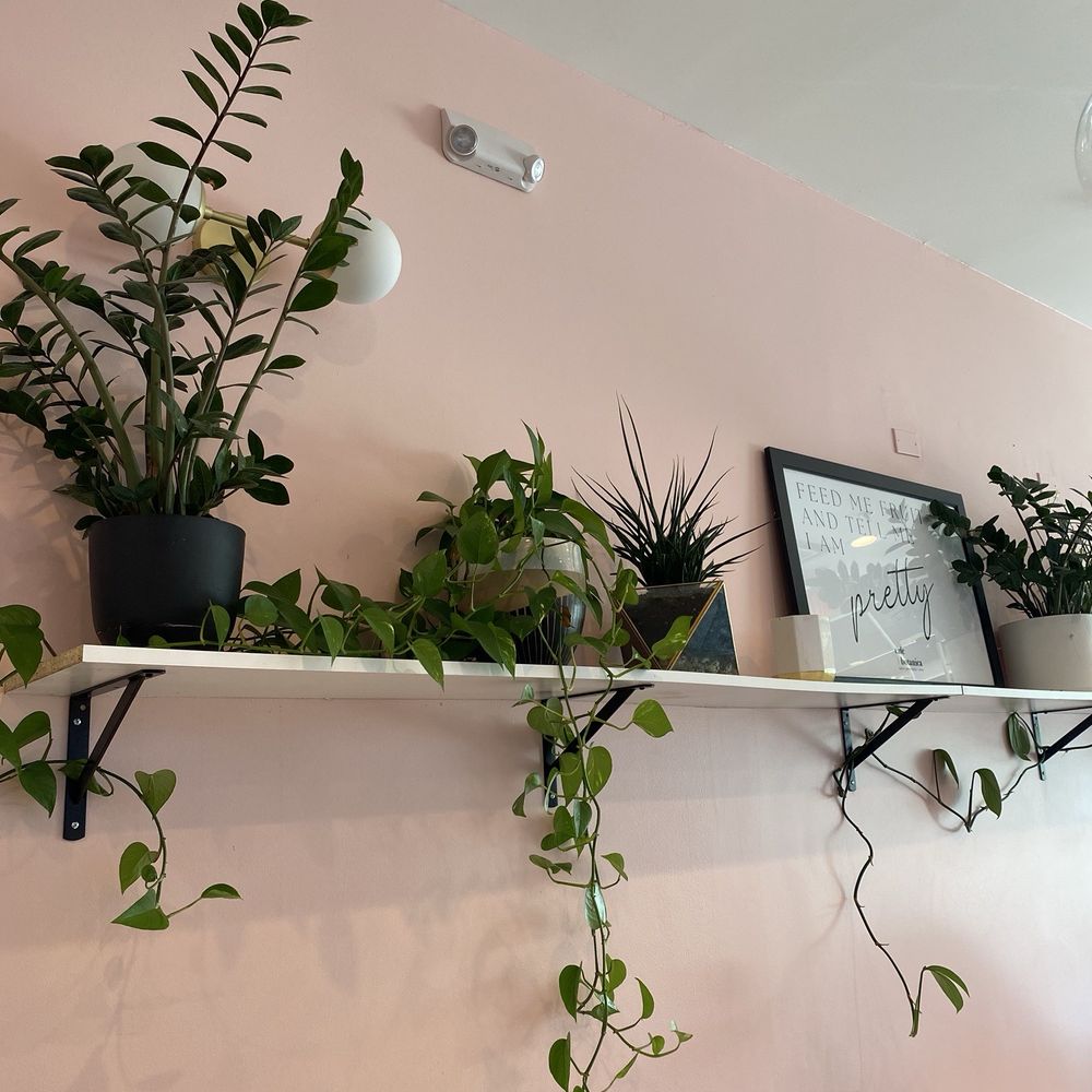 Cafe Botanica - Juice Bars & Smoothies Near Me - Omaha, Nebraska Cafe Botanica - Juice Bars & Smoothies Near Me - Omaha, Nebraska