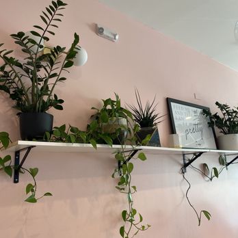 Cafe Botanica - Juice Bars & Smoothies Near Me - Omaha, Nebraska