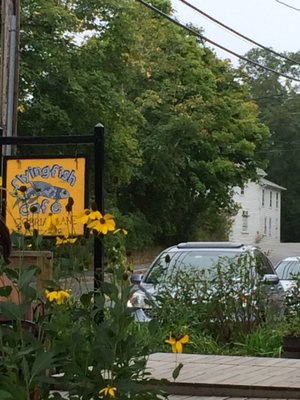 The Flying Fish by null