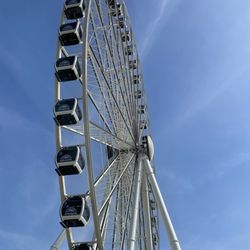 Skyviews Miami Observation Wheel - Skyviews Miami Observation Wheel
